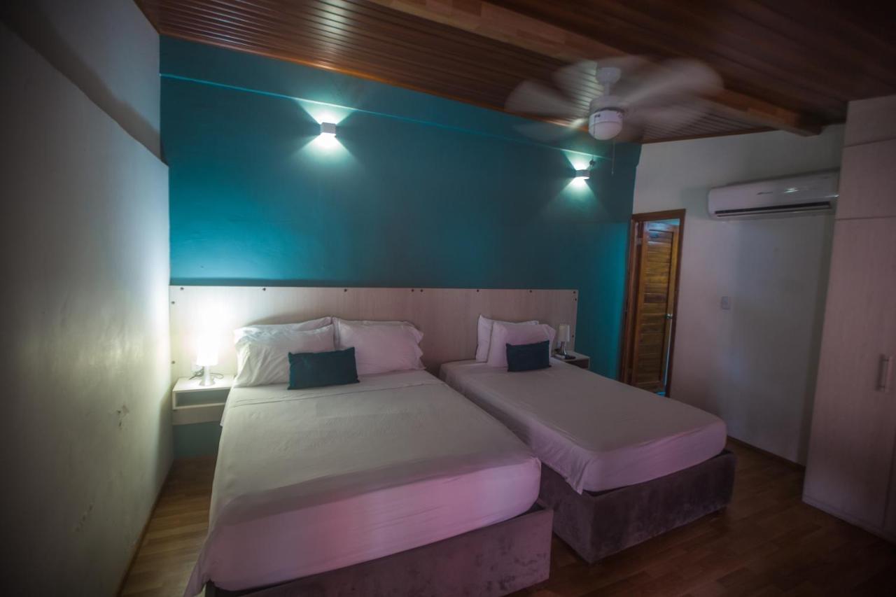 Bed and breakfast Casaalma Getsemani *